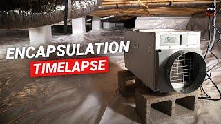 Watch the Crawl Space Ninjas Encapsulate a Crawl Space! | Timelapse Video