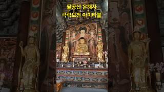 #팔공산#은해사#극락보전#아미타불#성지순례#기도#korea #travel