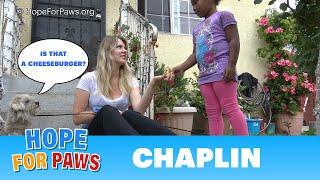 A young girl donates her cheeseburger to help us save a homeless dog. #hope