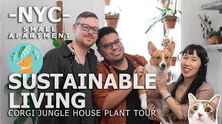 NYC Brooklyn Plant Tour & Sustainable Living | Corgi Jungle Small Apartment Tour