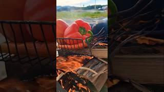  #խորոված #пикник #природа #новороссийск  #шашлык #рыбалка #հայաստան