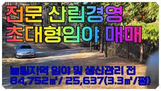 함안땅, 함안임야 ]23- 001 경남 함안군 군북면 대형 임야 매매(산림경영및 임업용 산지 활용 대형 임야 매매)