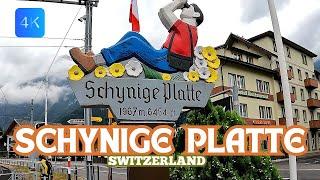 SCHYNIGE PLATTE VLOG- TOP SWISS TRADITION - THE HEDDIN GEM OF SWITZERLAND (4K)