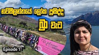 World Famous Bra Fence in Wanaka New Zealand | EP 01