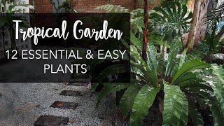 Top 12 Must-Have (& Easy!) Plants for a lush Tropical Garden