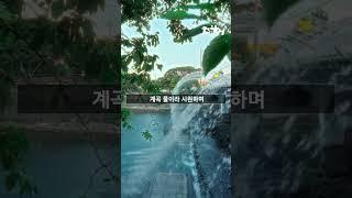 제주 현지인의 여름 피서지, 외도 마을의 월대천 [서쪽 8월 9월 제주도 여행코스]
