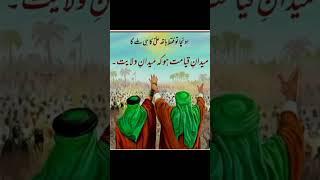 Labbaik Ya Hussain  | Emotional Azadari Moments | #YaHussain #Azadari #Shorts #ShortsFeed
