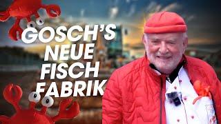 Gosch baut neue Fischfabrik