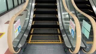 【フジテック】1Xエスカレーター ジョーシン和泉中央店 1X escalator Joshin Izumi-Chuo Osaka Japan