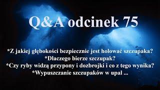 Q&A odcinek 75 - szczupaki i okonie - pytania ichtiologiczno - wędkarskie.