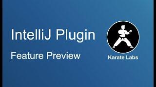 Karate IntelliJ Plugin Preview