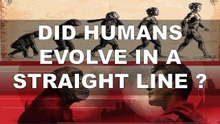 Did Humans Evolve in a Straight Line?