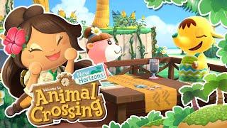 Building New Dreams in Happy Home PARADISE!!  Animal Crossing: Wildberry Archipelago • #10