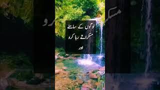 urdu quotes islamic #shorts #ytshorts #quotes