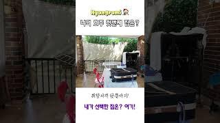 호주에서 찾은 내 첫 집!  공개합니다  #여행 #워홀러 #travel #브이로그