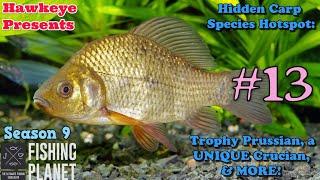 Fishing Planet S9 #13 - Hidden Carp Species Hotspot: Trophy Prussian, a UNIQUE Crucian Carp, & MORE!