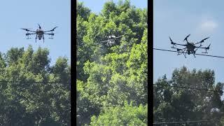 밤나무 방제 DJI T20