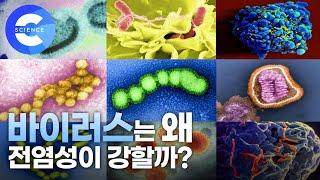 '한 컷의 과학' 바이러스란 무엇일까?