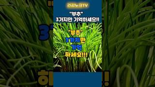 부추, 단순한 채소가 아니었어! 건강을 위한 특별한 비밀 3가지!  #건강#암#치매#당뇨