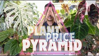 The Economics of Rare Plants | Why They Are Becoming MORE Expensive?