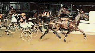 Harness Racing,Harold Park-26/10/1973 (Bold Jason-F.J.Willis)