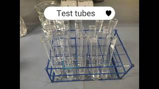 Total phenolic content (TPC) experiment with Folin-Ciocalteu reagent: Step-by-Step protocol