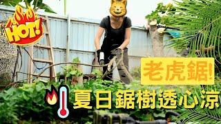 農地工具系列 | 樹枝清理 | 透心涼編