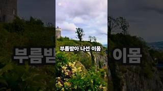 말씀찬양 로마서 12:2 이 세대를 본받지 말라