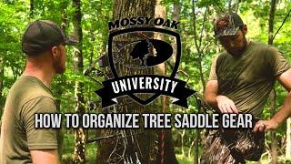 How to Organize Tree Saddle Gear