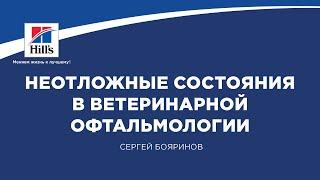 Вебинар на тему: «Неотложные состояния в ветеринарной офтальмологии». Лектор – Сергей Бояринов