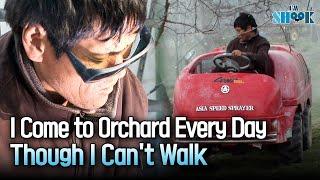 A Man With Cerebral Palsy Who Visits the Orchard Every Day