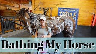 Bathing My Horse // EQUESTRIAN VLOG