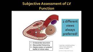 Left ventricular function assessment in shock (veterinary)