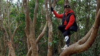 Josie Ambo is live! Advantage ng Maliit at Violet Hill Hike ‍️