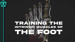 How to Train Your FOOT MUSCLES - For Speed, Agility, and Injury Prevention