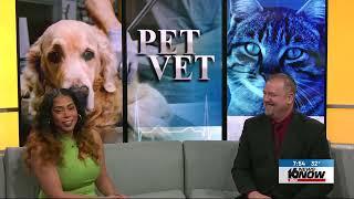 Pet Vet: American Animal Hospital Association