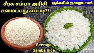 Seeraga samba rice|how to cook seeraga samba rice in pressure cooker|seeraga samba rice water ratio