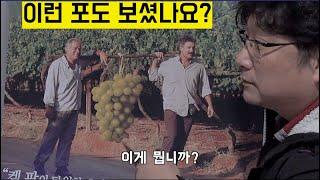 [한국농수산TV] 이런 포도 보셨나요? 농가들을 위한 선착순 100명 특가 이벤트 합니다!!