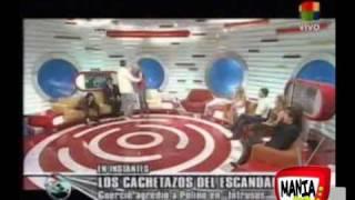 Piñas en TV - ManiaTV