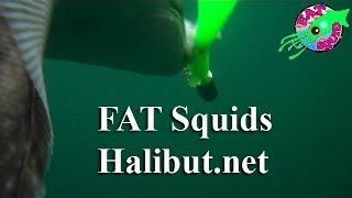 Halibut thrashes 16-ounce leadhead jig and FAT Squid