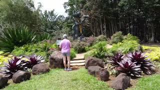 Rudraksha Forest at Kauai Hindu Monastery