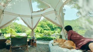 The best valley camping site / Setting up a tent alone / Lamb skewers and guacamole toast