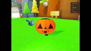 JUST HATCHED SCARY CAT IN ROBLOX PET SIMULATOR X!