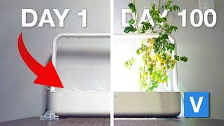 Day 1 to 100 - Click and Grow Smart Garden Long Term Review