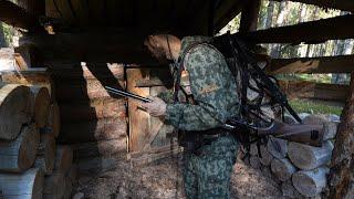 МЕДВЕДИЦА. ОХОТА НА БЛИЖНЕЙ ИЗБЕ. ПОХОД НА ЗАБРОШКУ. ДОБЫЛ МЯСА НА УЖИН