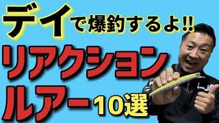 【デイの推しルアー】ただ巻きで釣れないあなたに捧げます！