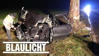 4 Jugendliche sterben bei Auto-Unfall - Frontal gegen Baum