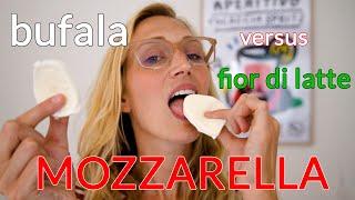 American Girl Tries Italian Mozzarella: Mozzarella di Bufala v. Fior di Latte