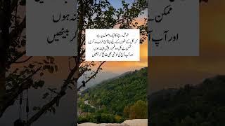 khush rehne ka asool#khush #khushi #happiness #asool #rule #kainatqueen