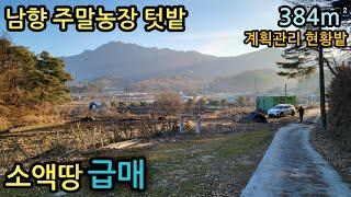 (매물번호13648) 금산부동산 384㎡(116) 금산땅 금산토지매매매물 시골땅 촌땅 소액 주말농장 산속 싼땅 급매 대전토지 대전부동산 청주땅 옥천땅 보은땅 3700만원